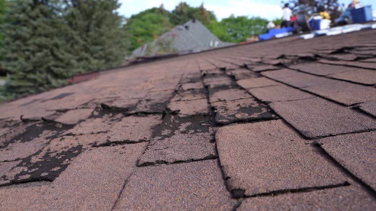 Best Tile Roofing Installation  in Forest Park, IL