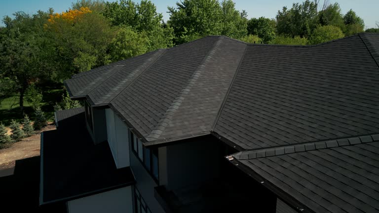 Best Rubber Roofing (EPDM, TPO)  in Forest Park, IL
