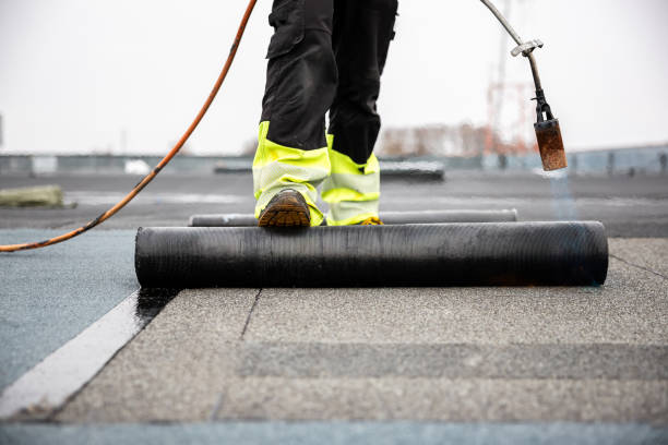 Best Metal Roofing Installation  in Forest Park, IL