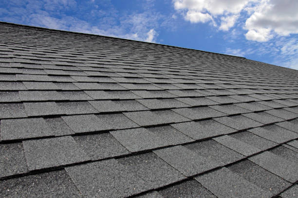 Best Solar Panel Roofing Installation  in Forest Park, IL